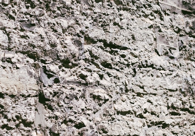 變與不變：凹凸不平的AI智能